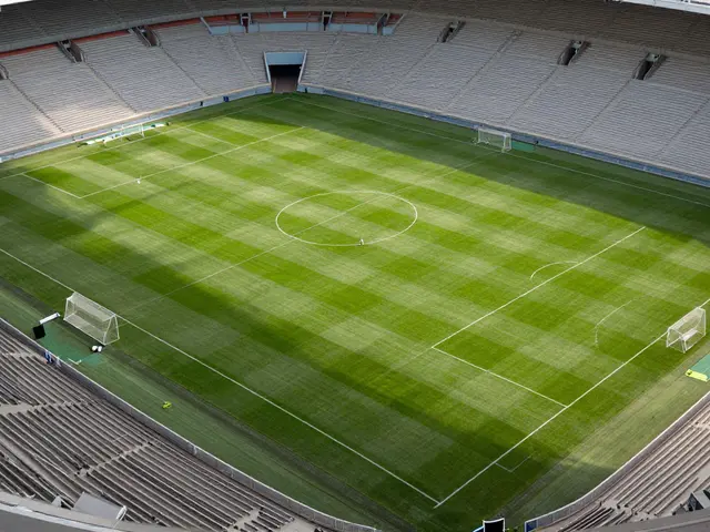 Jak velké je fotbalové hřiště? Standardní rozměry a pravidla