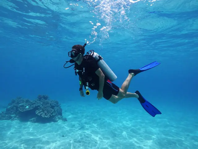 Jak používat ploutve při potápění: průvodce pro začátečníky