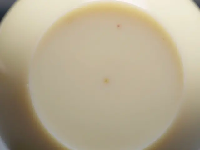 Jak se skládají kulečníkové koule? Struktura, materiál a výroba