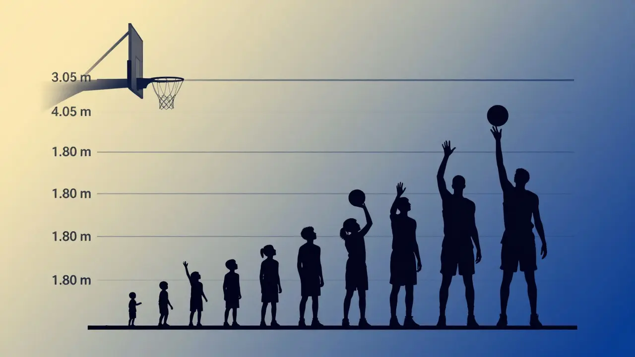 Vizualizace růstu dítěte v basketbalu od nižších po standardní koše.