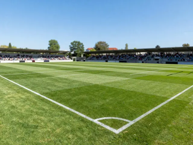 Jaké jsou rozměry fotbalového hřiště? Standardy pro mužské, ženské a dětské zápasy