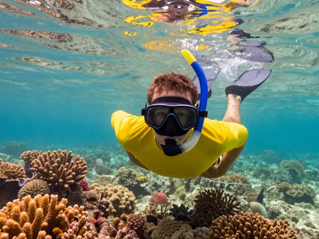 Kompletní průvodce pro začátečníky v šnorchlování: Výbava, technika i bezpečí