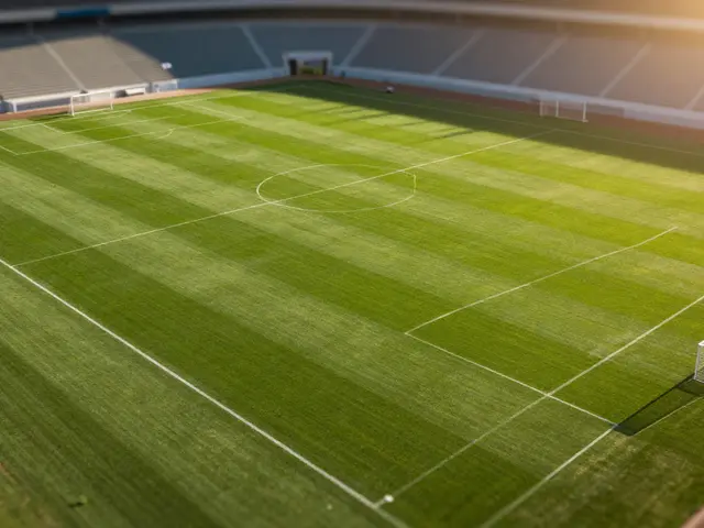 Jaká je plocha fotbalového hřiště? Rozměry, pravidla FIFA a typy povrchů