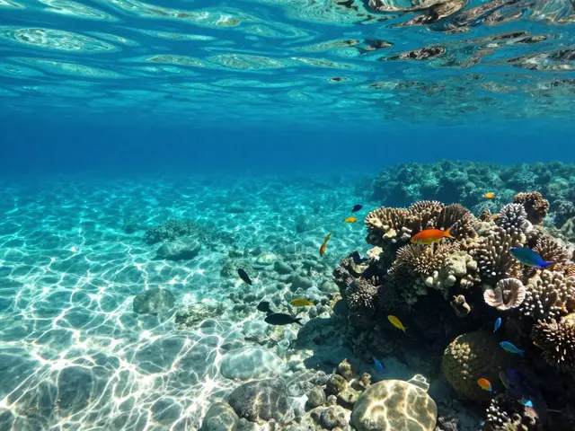 Kde Snorchlovat na Krete? Nejlepší místa pro potápění a snorkeling